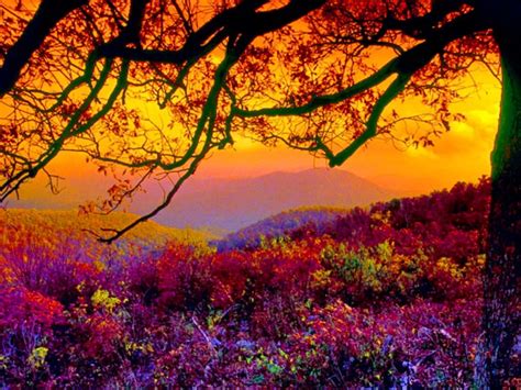 Vista Beautiful Amazing World Pinterest Sunset Autumn And Scenery