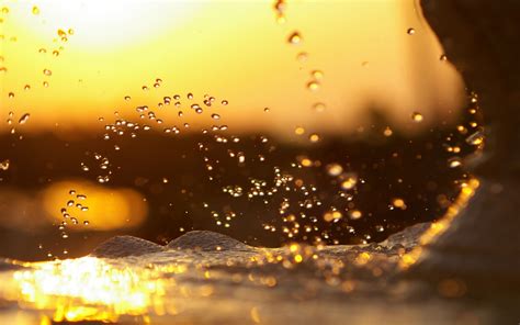 Wallpaper Sunlight Sunset Night Reflection Water Drops Yellow