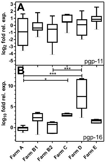 Effects Of In Vitro Ivm Incubation On Pgp Mrna Expression Adult Male