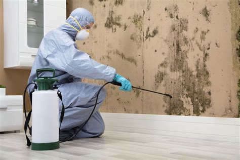 How long does pest control take? How Long Does Pest Control Treatment Normally Last?