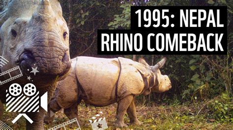 Rhino Comeback In Nepal From The Archives Wwf Youtube