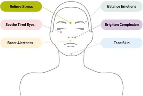 Facial Massage Points Massage Therapy Ayurvedic Massage Massage Benefits