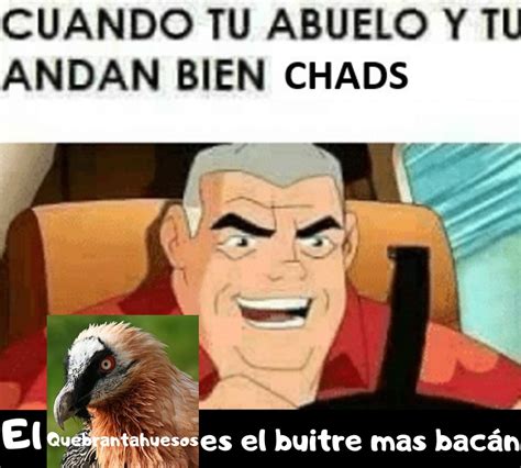 Top Memes De Bacan En Español Memedroid