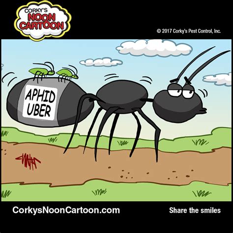 Aphid Cartoons Corkys Pest Control Services San Diego Pest Control