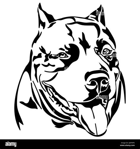 American Pitbull Terrier Dog Vector Illustration Stock Vector Image