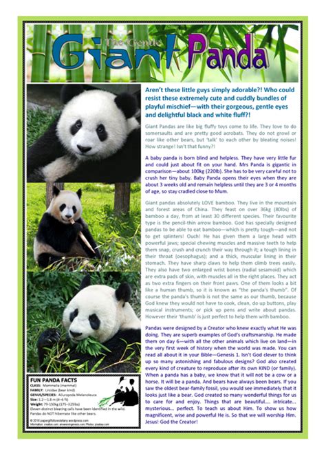 Panda ~ Free Article For Kids Articles For Kids Panda Animal Learning