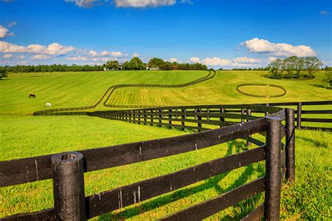 Bigeye Photography Kentucky Horse Farm Fences