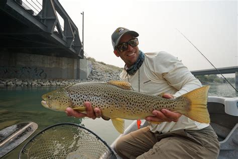 Bow River Dave Brown Outfitters Fly Fishing And Wingshooting Adventures