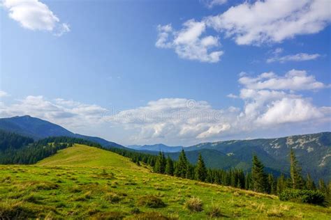 Sunny Day On A Mountain Pasture Stock Photo Image Of Mountains Grass