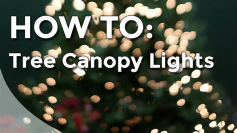 How To Light Tree Canopy Christmas Lighting Youtube