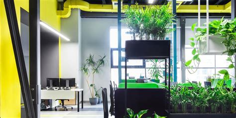 4 Benefits Of Biophilic Office Design Interior Landscapes