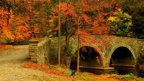Hd Wallpaper Nature Forest Park Trees Bridge Leaves Colorful Road Path