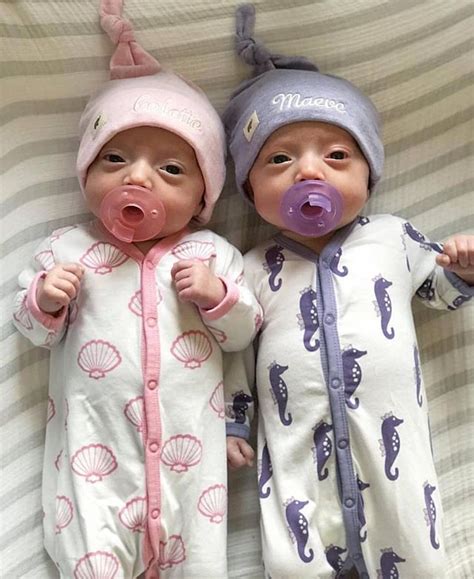 Monica Andy Twin Baby Girls Reborn Baby Dolls Twins Reborn