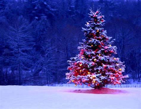 Christmas Winter Scenes Wallpapers 4k Hd Christmas Winter Scenes