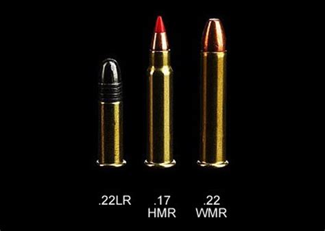Comparison Of 22 Lr Vs 22 Wmr Vs 17 Hmr The Best Rimfire Ammo