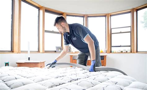 Mattress Cleaning Services In Brookvale Northern Beaches Sydney