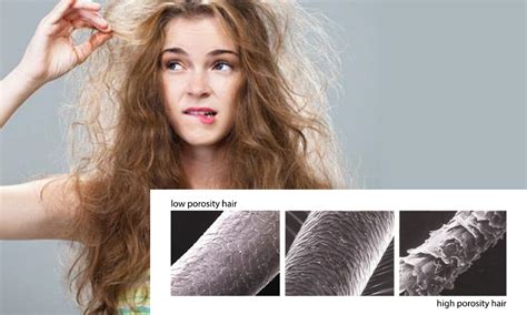 High Porosity Hair How To Recognize It And What Cosmetics To Use