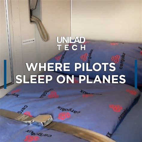Where Pilots Sleep On Long Haul Flights This Pilot Shares Secrets On How They Sleep And Get