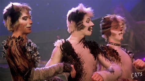 Pin By Louisa Bowman On Cats Musical Video Cast Cats Musical