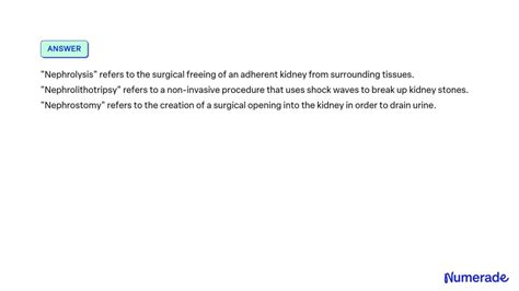 Solved The Surgical Incision Into A Kidney To Remove A Stone Is Called