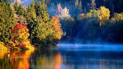 Nature Landscapes Rivers Lakes Water Reflection Autumn Fall Seasons