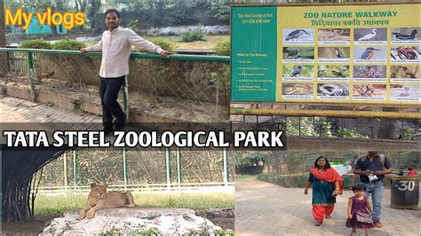 Tata Steel Zoological Park Jamshedpurvlogs Video Animals Zoo Youtube