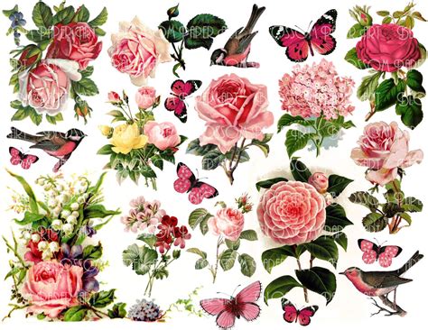 Vintage Pink Flowers Digital Collage Sheet Vintage Floral Etsy