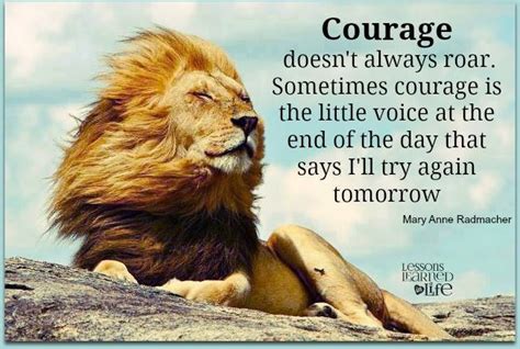 Quotes About Courage And Lions Quotesgram