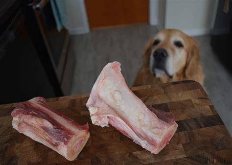 Are Raw Beef Marrow Bones Good For Dogs