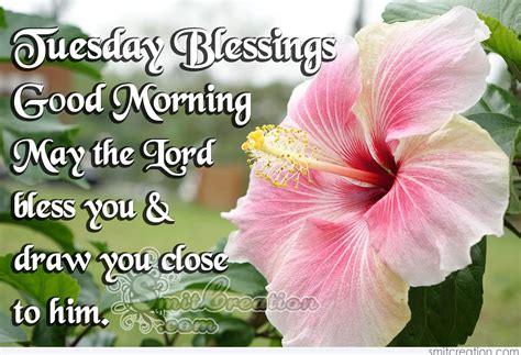 Funny tuesday memes these good morning tuesday blessings are all you need to stay. Tuesday Blessings- Good Morning - SmitCreation.com
