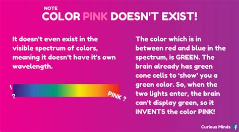 Magentapink Is The Absence Of The Color Green Basically Here Is Why