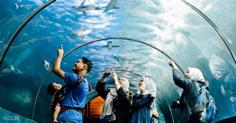 Check the complete entry ticket information per person, charges, entrance price, timings, tips & other travel information. Langkawi Underwater World Admission Ticket in Malaysia