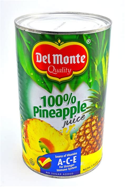 338 Can Juice Pineapple Stock Photos Free And Royalty Free Stock Photos
