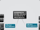 Diferencia Entre C Lula Eucariota Y Procar Mind Map