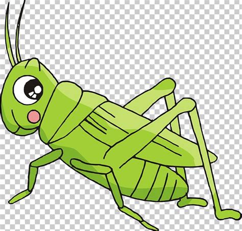 Cricket Animal Awesome Animals Blog Colorful Cricket Fake Or Real