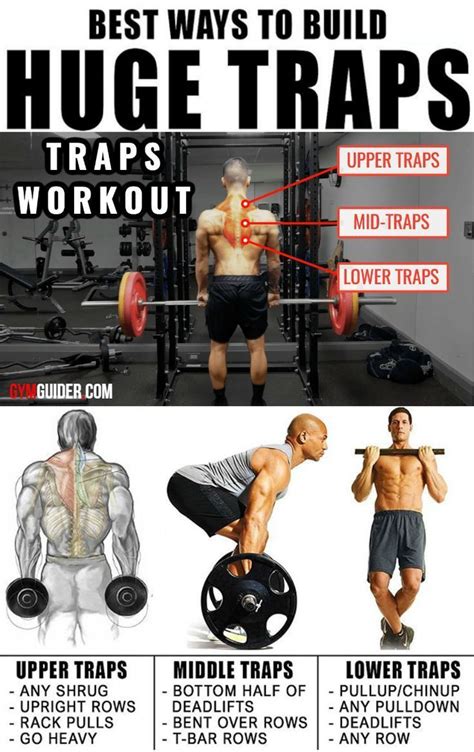 The Benefit Of Building Bigger Traps One Of The Most Important And