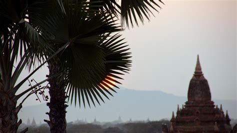 Free Images Tree Sun Sunset Sunlight Flower Asia Temple