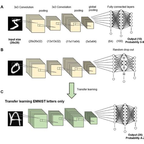 Methodology A Convolutional Neural Network CNN Was Trained To Download Scientific Diagram