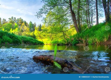 Beautiful River Landscape Green Riverside Stock Image Image Of Grass
