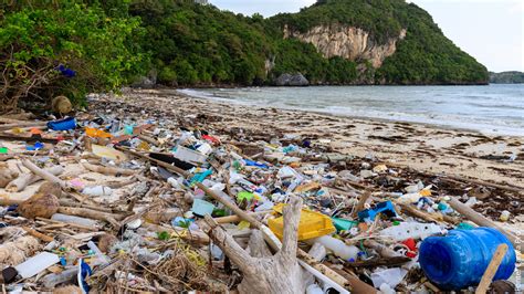 O que são as ilhas de plástico e quais seus impactos no meio ambiente