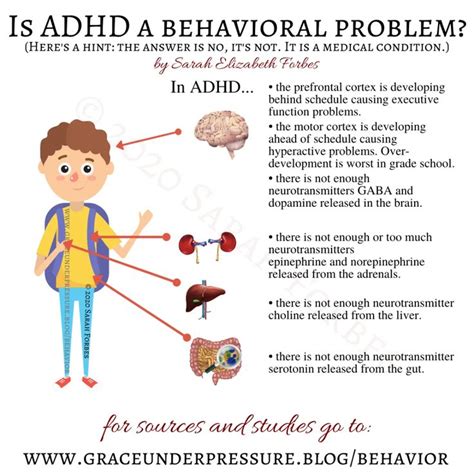 Pin On Causes Of Adhd