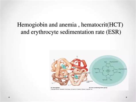 Ppt Hemogiobin And Anemia Hematocrithct And Erythrocyte