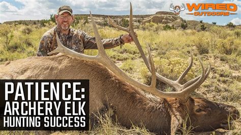 2019 Archery Elk Hunting Success Patience Youtube
