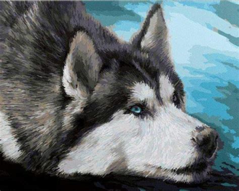Sad Husky Dog Paint By Numbers Numeral Paint Kit
