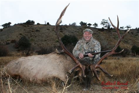 Elk Hunting With Fishtail Ranch Outfitters In Chamanew Mexico