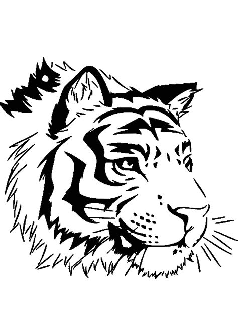 Tigre Coloriage A Imprimer Dessins À Colorier Coloriage Tigre à