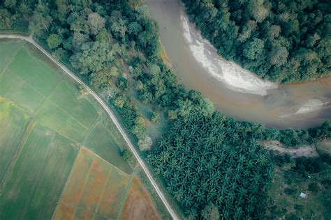 River Between Trees In Aerial Photography · Free Stock Photo