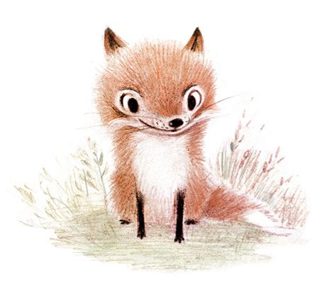 Adorable Animal Illustrations