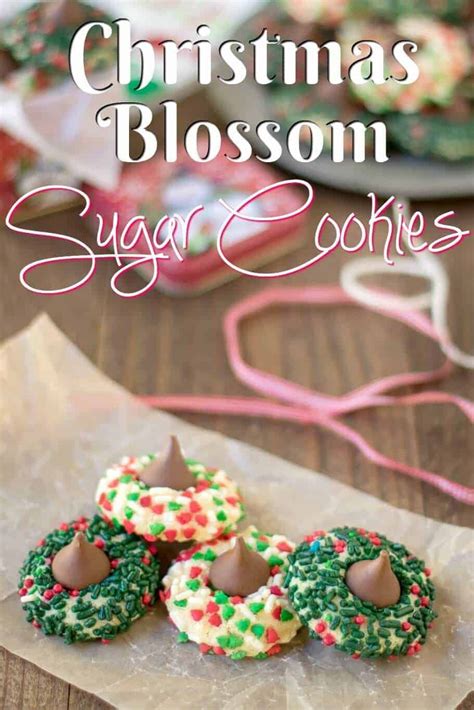Hershey's kiss cookies are soft and chewy chocolate cookies topped with hershey kisses, ready in under 30 minutes! Christmas Blossom Sugar Cookies Hershey Kiss Thumb Print ...