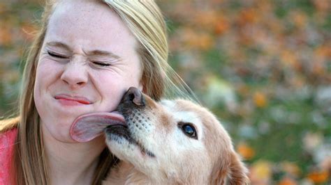 Why Do Dogs Want To Lick Your Lips
